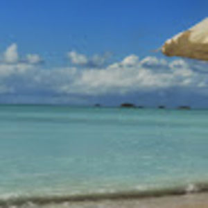 Meet your Posher, Ricky